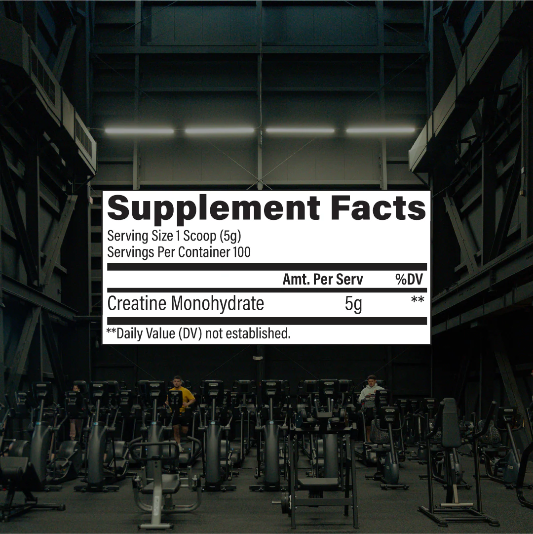 CREATINE 100 serv x 5g (pura sin rellenos) 500g