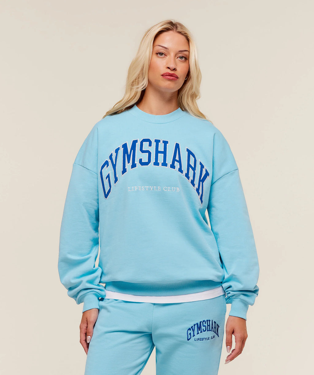 Collegiate Graphic Crew Neck Pullover