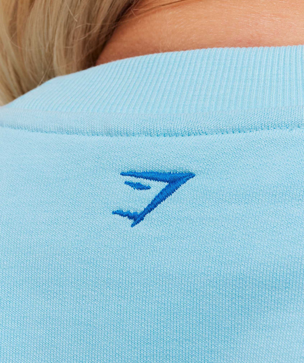 Collegiate Graphic Crew Neck Pullover